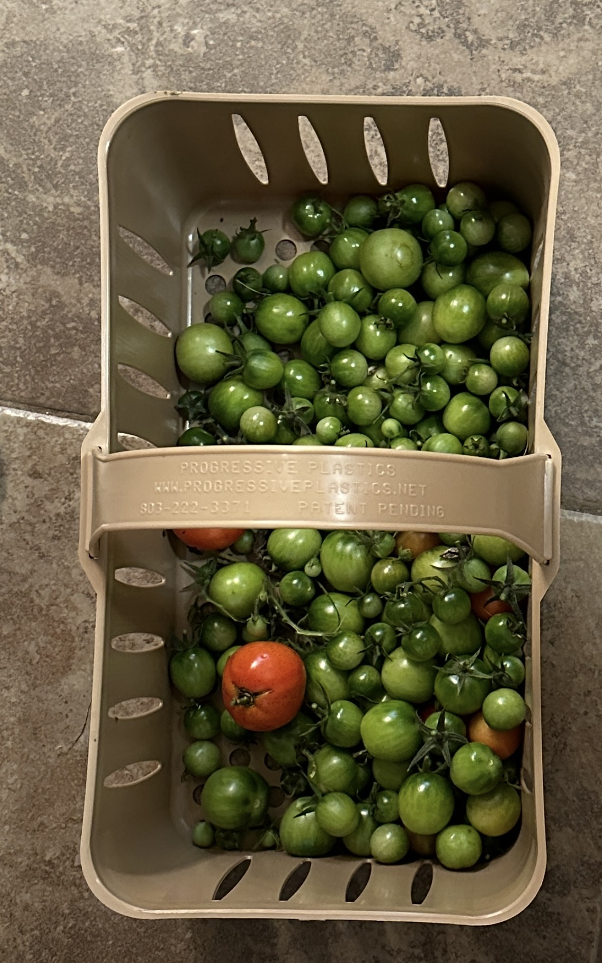 The Elusive Self Care